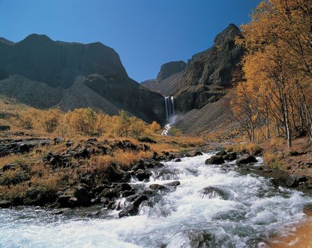 Waterfall and Treesの写真素材