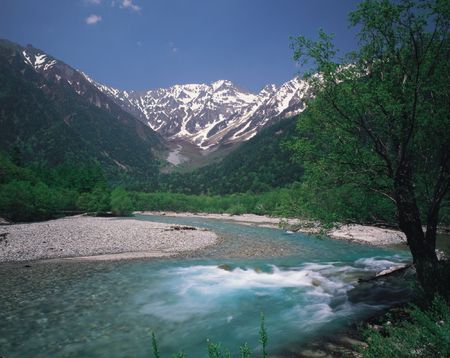 Forest and Mountainの写真素材