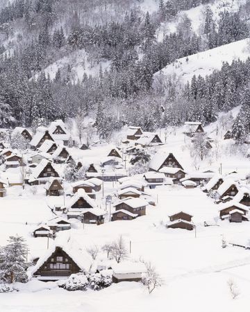 Forest and Houseの写真素材