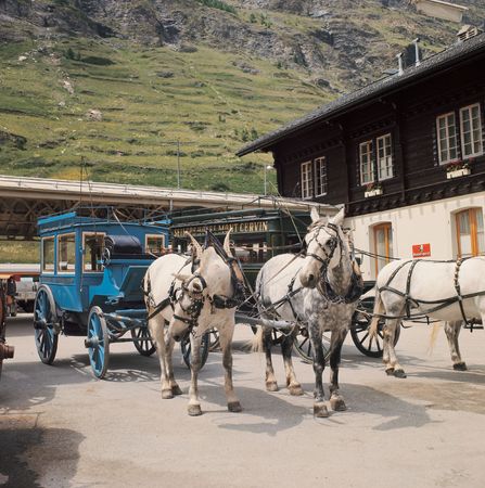 Horse Carriageの写真素材