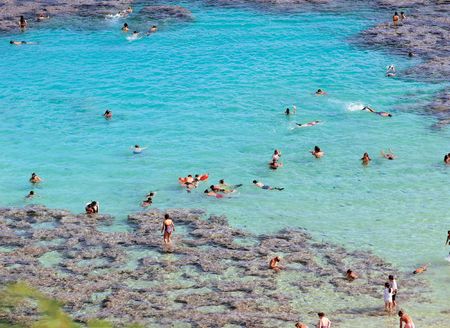 Pool Beachの写真素材