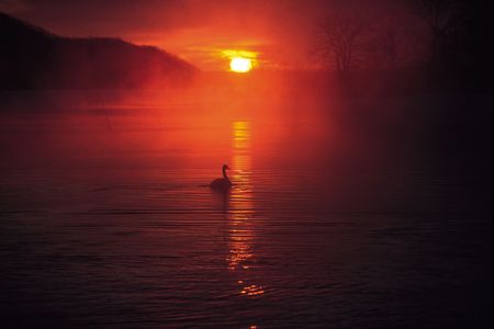 Sunlight Riseの写真素材