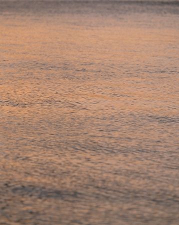 Waters at Duskの写真素材