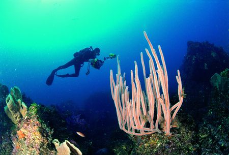 Person in Seaの写真素材