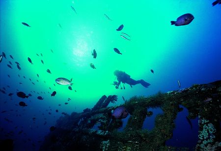 Fishes and people