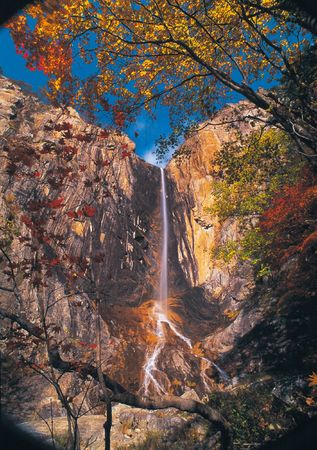 Autumn Sceneryの写真素材
