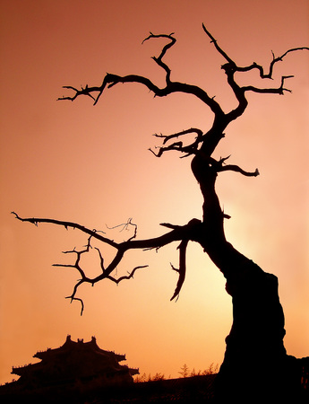 Scenicsの写真素材