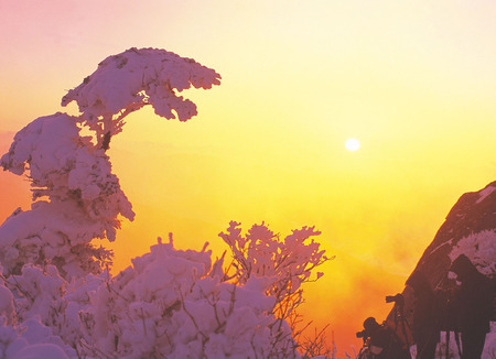 Snowの写真素材