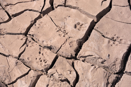 Droughtの写真素材