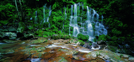 Asia Images
