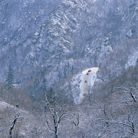 Natureの写真素材