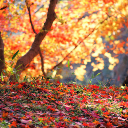 Asia Imagesの写真素材