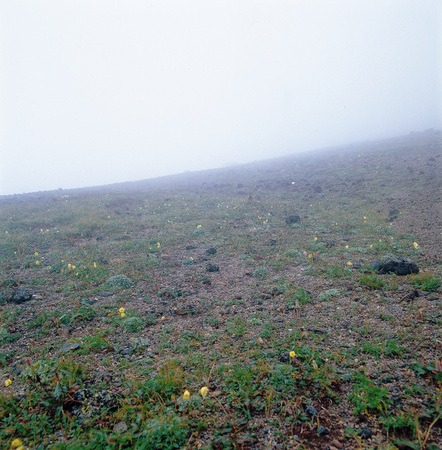 Natureの写真素材