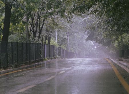 Nature and Roadの写真素材