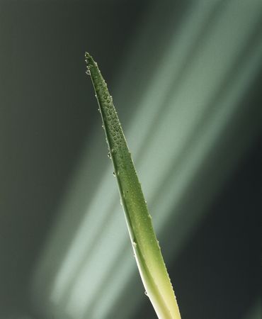 Article Detailsの写真素材