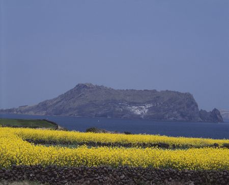 Seasonal Landscapeの写真素材