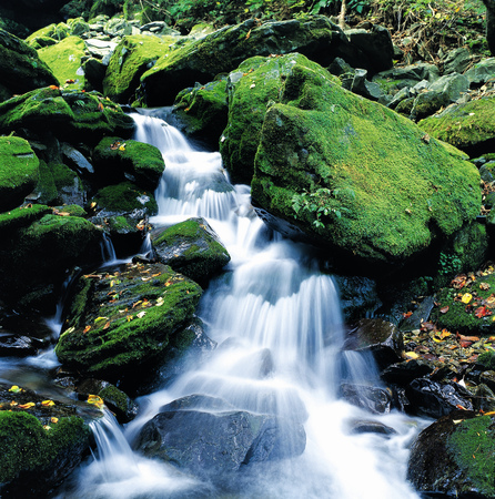 Asia Imagesの写真素材