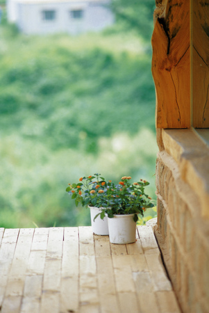 Flower imageの写真素材