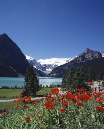 Seasonal Landscapeの写真素材