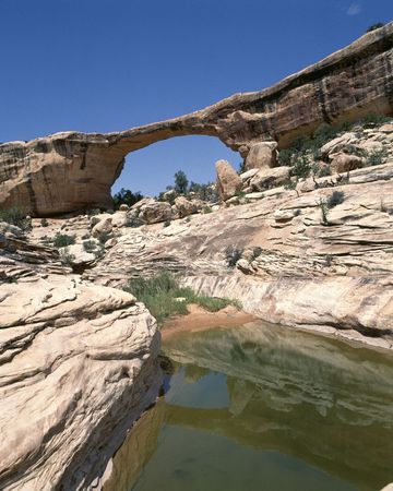 Foreign Tripの写真素材