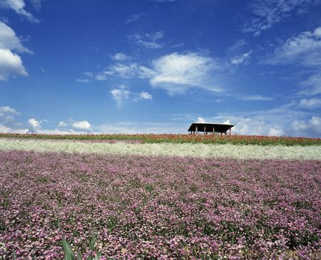 Foreign Tripの写真素材