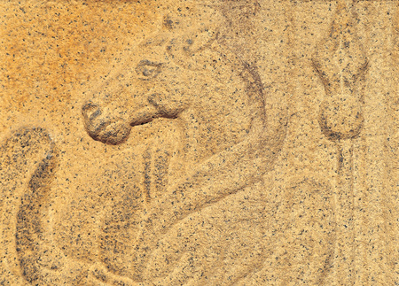 Art and Craft Equipmentの写真素材