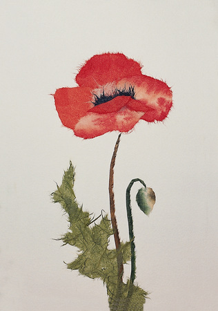 Art and Craft Equipmentの写真素材