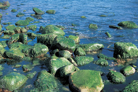 Scenicsの写真素材