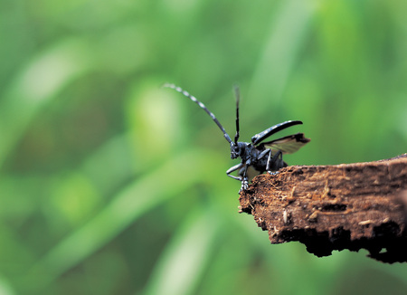 Natureの写真素材
