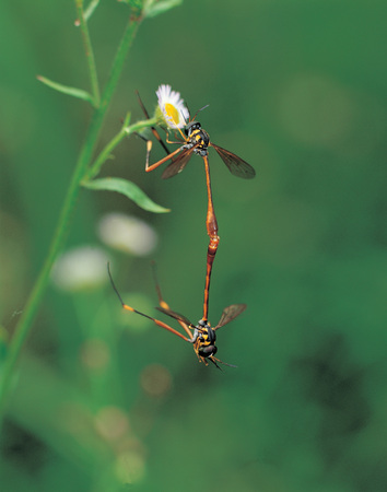 Natureの写真素材