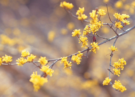 Plantの写真素材