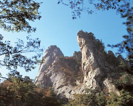 Scenicsの写真素材