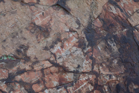 Conceptsの写真素材