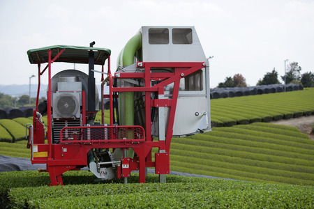 Scenicsの写真素材