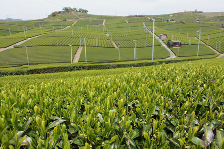 Scenicsの写真素材