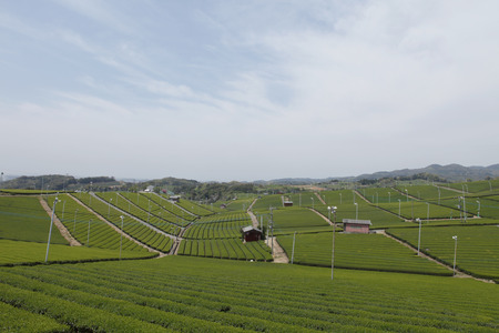 Scenicsの写真素材