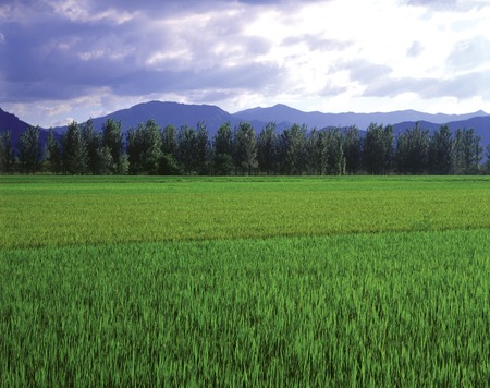 Scenicsの写真素材