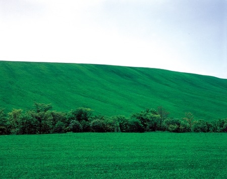 Scenicsの写真素材