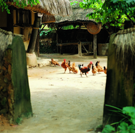 Traditional Korea imageの写真素材