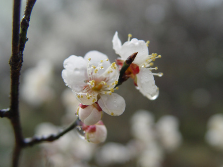 Natureの写真素材