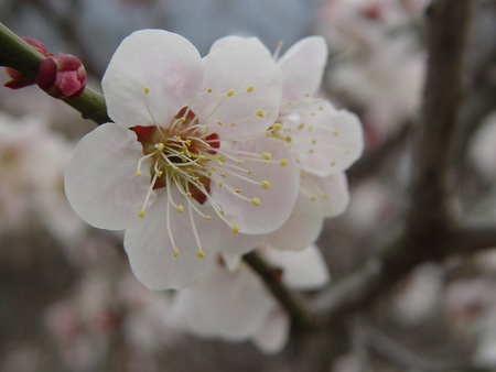 Natureの写真素材