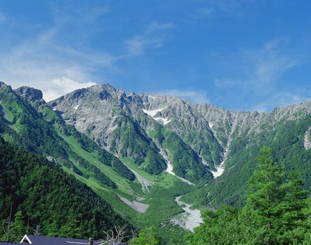 Forestの写真素材