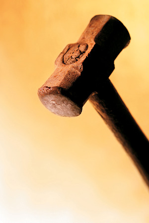 Still Lifeの写真素材