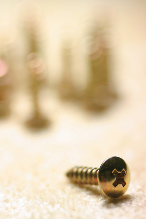 Still Lifeの写真素材