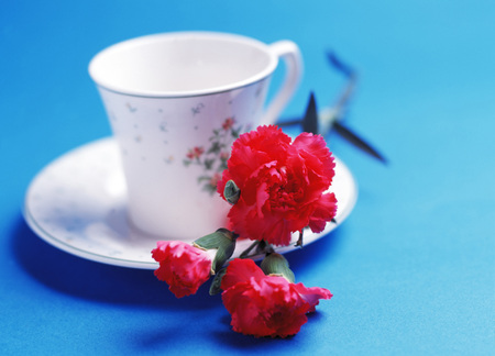 Flower on tableの写真素材