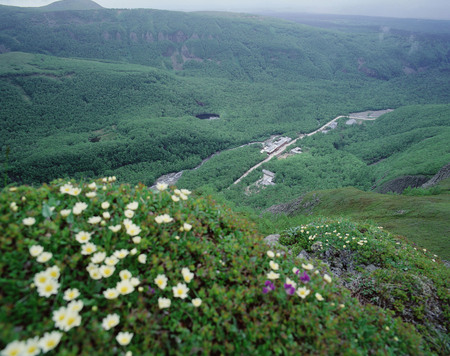 Nature sceneryの写真素材