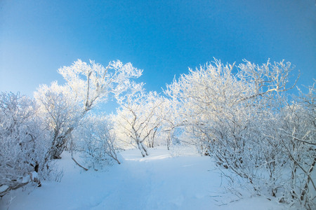 Seasonの写真素材