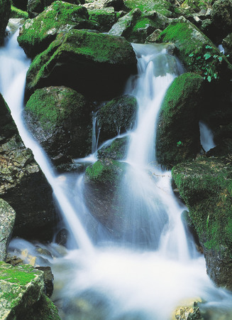Seasonの写真素材