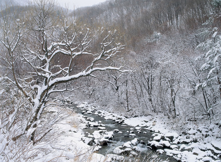 Seasonの写真素材