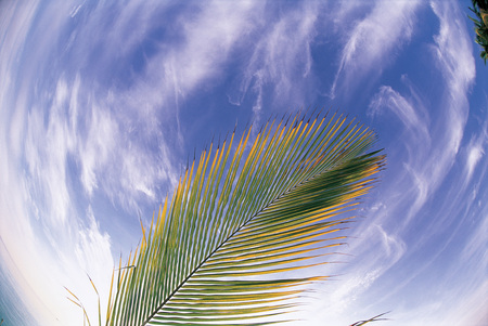 Tailgate Partyの写真素材